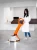 willmop-50b-9.webp