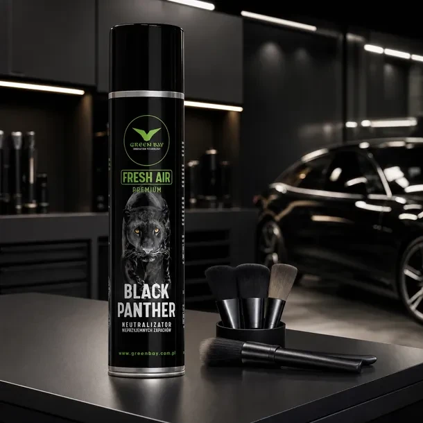 BLACK PANTHER 2.webp